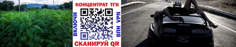 маркетплейс Telegram  Вольск  Дистиллят ТГК концентрат  omg ONION 