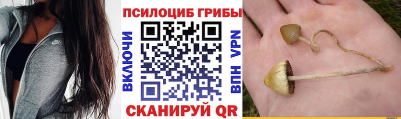 Галлюциногенные грибы GOLDEN TEACHER  что такое   Вольск 